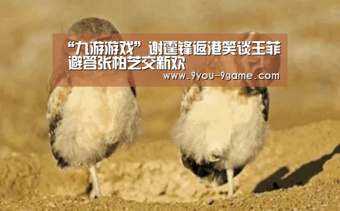 九游官网
