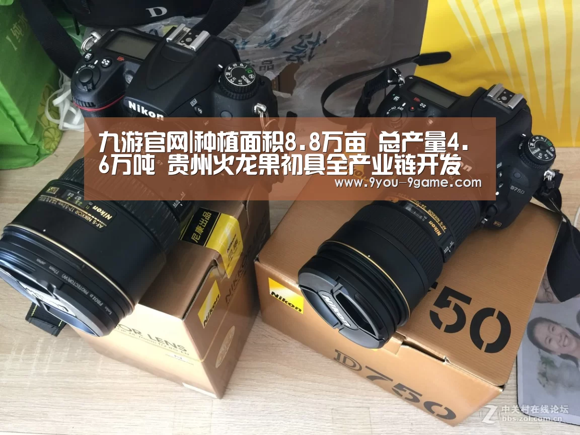 九游官网|种植面积8.8万亩 总产量4.6万吨 贵州火龙果初具全产业链开发雏形(图3) 九游游戏