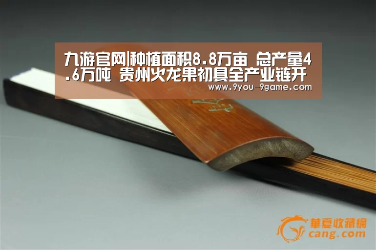 九游官网|种植面积8.8万亩 总产量4.6万吨 贵州火龙果初具全产业链开发雏形(图2) 九游游戏