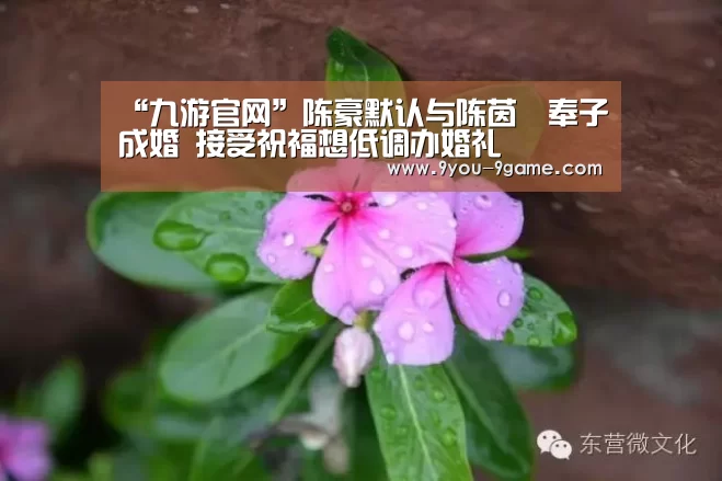 “九游官网”陈豪默认与陈茵媺奉子成婚 接受祝福想低调办婚礼(图1) 九游APP下载