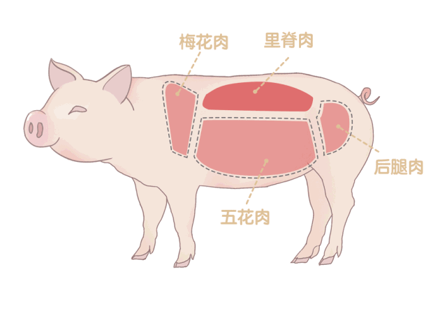 九游APP下载